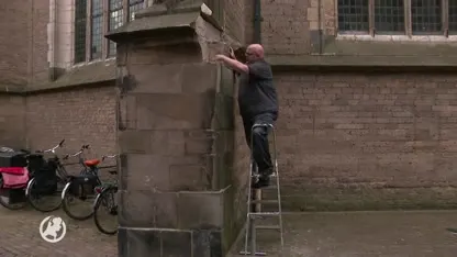 Welke hork heeft de kerk van Deventer ontheiligd?