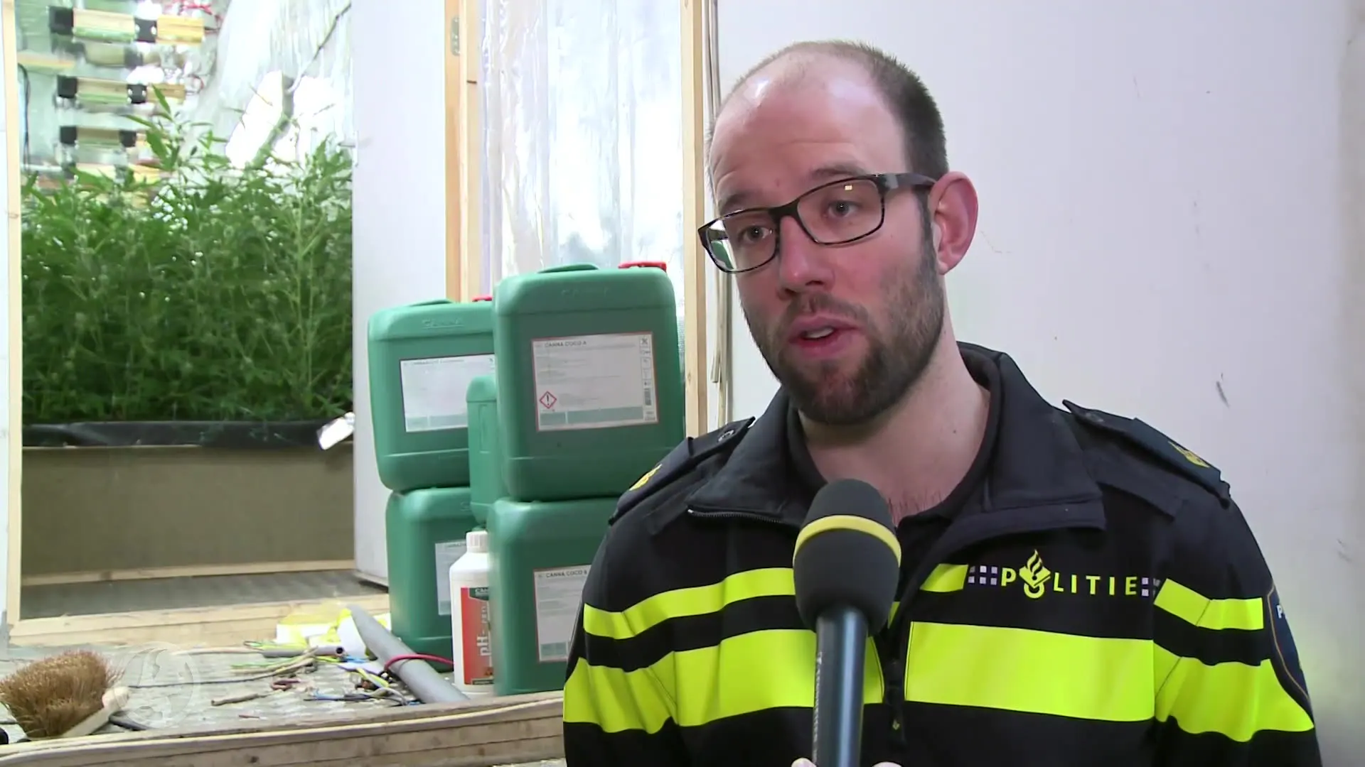 Hennepkwekerij in zeecontainers Heerlen