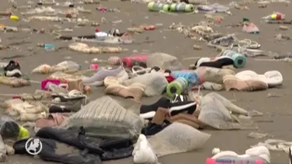 Strand Schiermonnikoog grotendeels opgeruimd