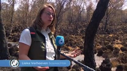 'Nederland slecht voorbereid op grote natuurbranden, het gevaar neemt toe'