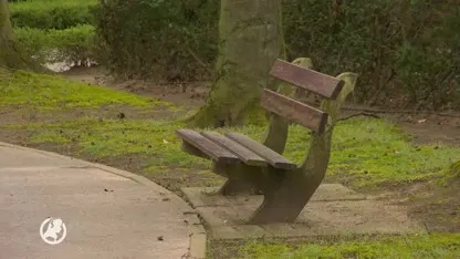 GEZOCHT: Onderzoek ‘kerkhofmoord’ Roermond heropend