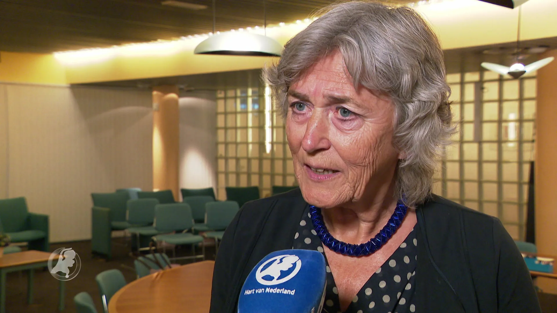 Automobilist overleden na botsing met trein in Scheemda