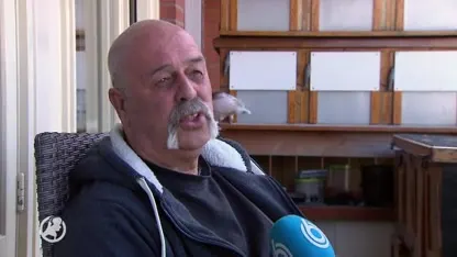 Steeds meer roofvogels in de stad, maar duiven zijn de dupe