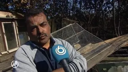 Voor zoveelste keer brand in volkstuincomplex Enschede