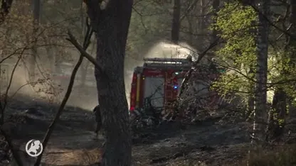 Brandweer rukt groots uit voor natuurbrand in de Soester Duinen