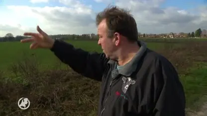 WNF slaat alarm: helft wilde dieren in Nederland verdwenen door stikstof