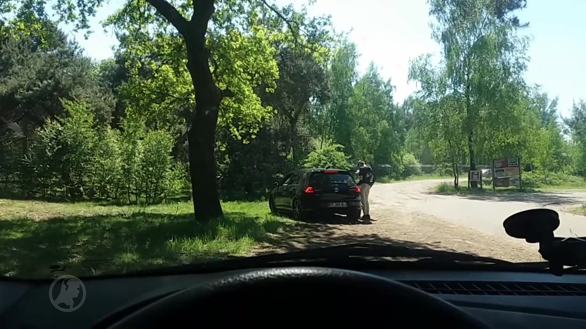 Jachtluipaarden hebben zin in Franse snack