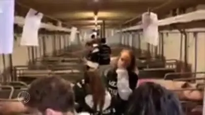 Dierenactivisten bezetten varkensfokkerij in Boxtel en willen zieke varkens meenemen