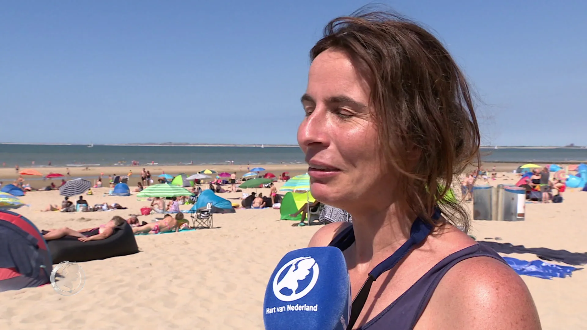 Vrijwilligers ruimen stranden op tijdens Beach Cleanup Tour