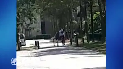 Handen thuis! Emma (26) organiseert protestloop tegen serie-aanrander in Enschede