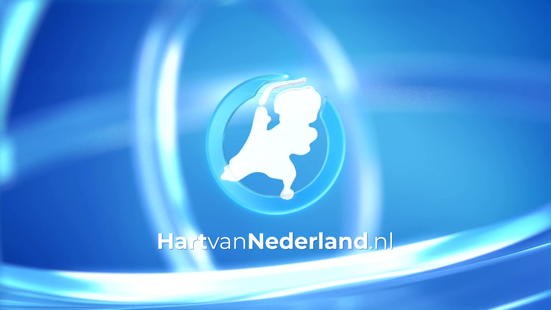 Ravage en gewonde bij frontale aanrijding Budel