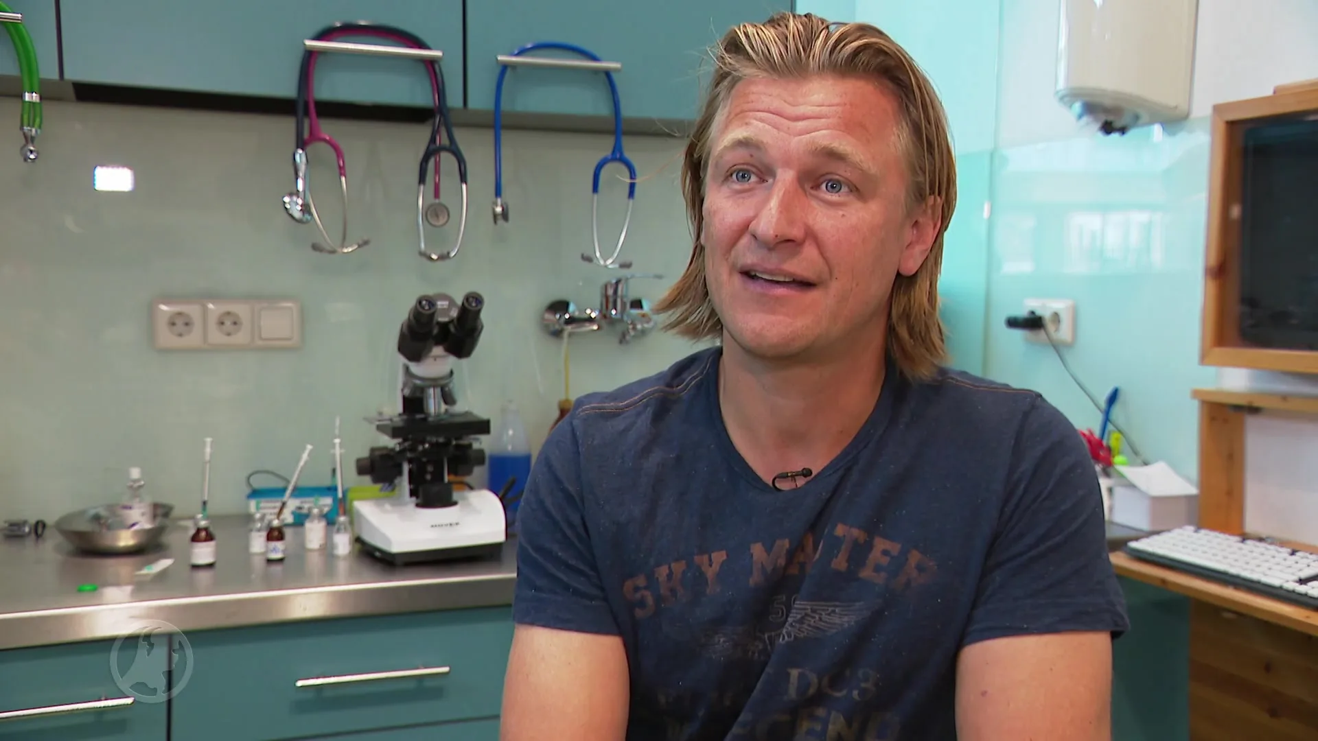 Nederlandse Dierenartsen gaan op Curaçao zwerfhonden steriliseren