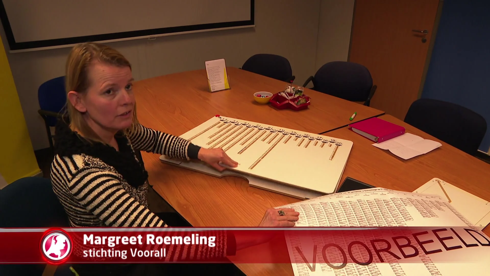 Hulpmiddelen voor stemmen met een visuele beperking