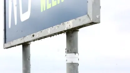 Jaarlijkse plaag: op Afsluitdijk ziet het zwart van de muggen
