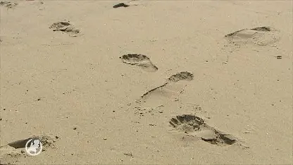 Vermeende ontvoerder Madeleine McCann mogelijk ook betrokken bij vermissing Jaïr Soares