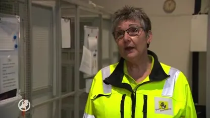 Dierenbescherming: 'Gebruik geen lijmplank tegen ongedierte'