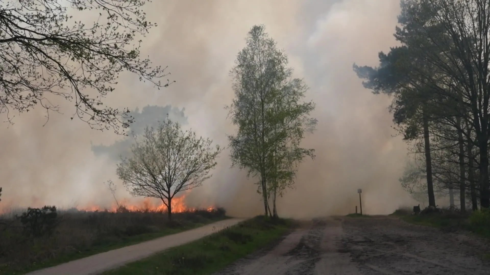 80.000 vierkante meter Strabrechtse Heide in de hens