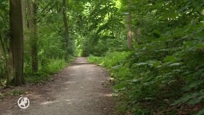 Opnieuw aandacht voor cold case Jan de Niet (30)