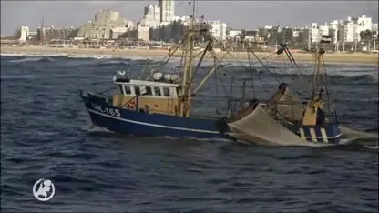 Gezonken vissersboot drama voor Urk, collega's blijven zoeken naar bemanning