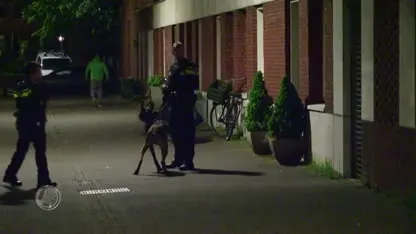 Buurtbewoners IJburg over schietpartij: 'Het was redelijk angstaanjagend'