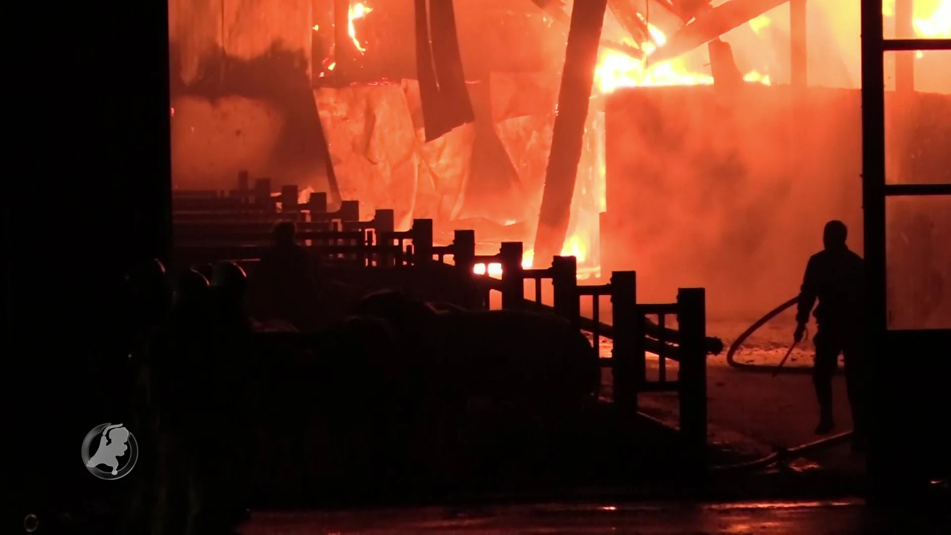 Derde grote stalbrand in Werkhoven in korte tijd, 50 dieren omgekomen