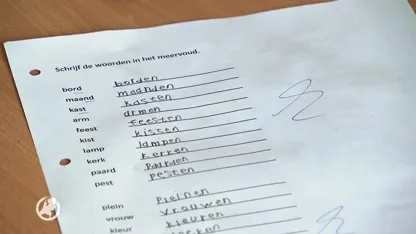 Eenderde werknemers laaggeschoold werk heeft moeite met Nederlandse taal