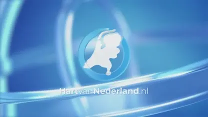 Heftige crash bij Heesch