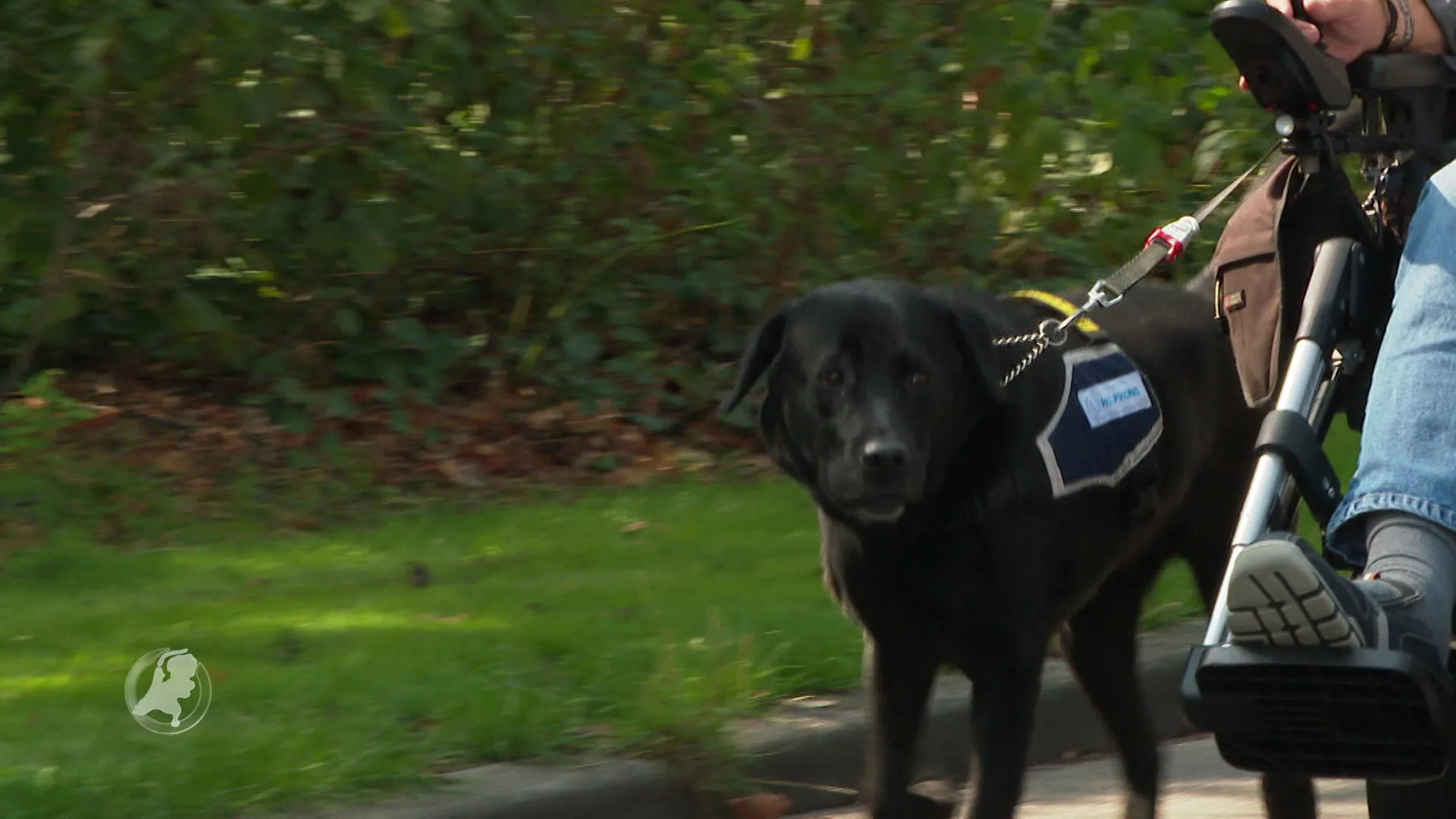 Onbekende mannen proberen Ben (63) in rolstoel te beroven