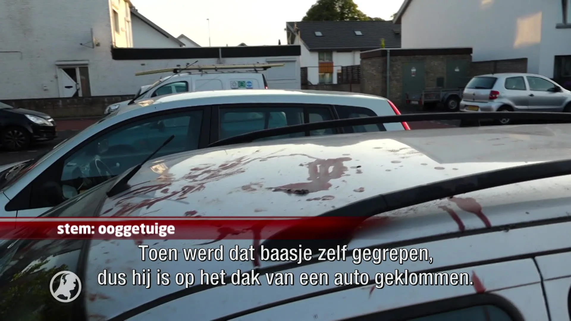 Ooggetuige vertelt over bloedige aanval van agressieve hond Kerkrade