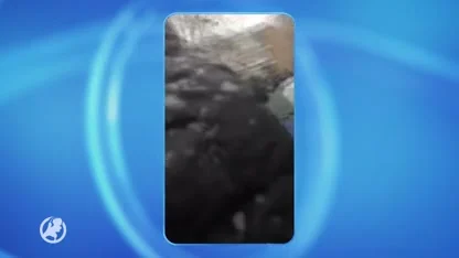 Aantal gevaarlijke situaties met sneeuwbalgooiers, automobiliste draait door