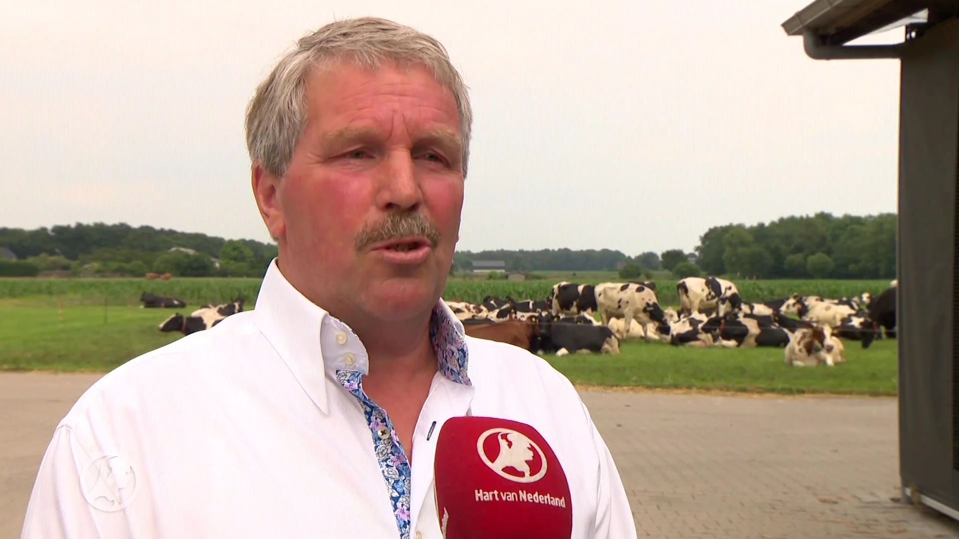 Boeren in actie om Fosfaatwet