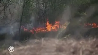 Groot alarm door veenbrand in uitgedroogd natuurgebied Mariapeel