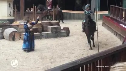 Taakstraf en parkverbod voor dierenactivisten die Efteling-show verstierden