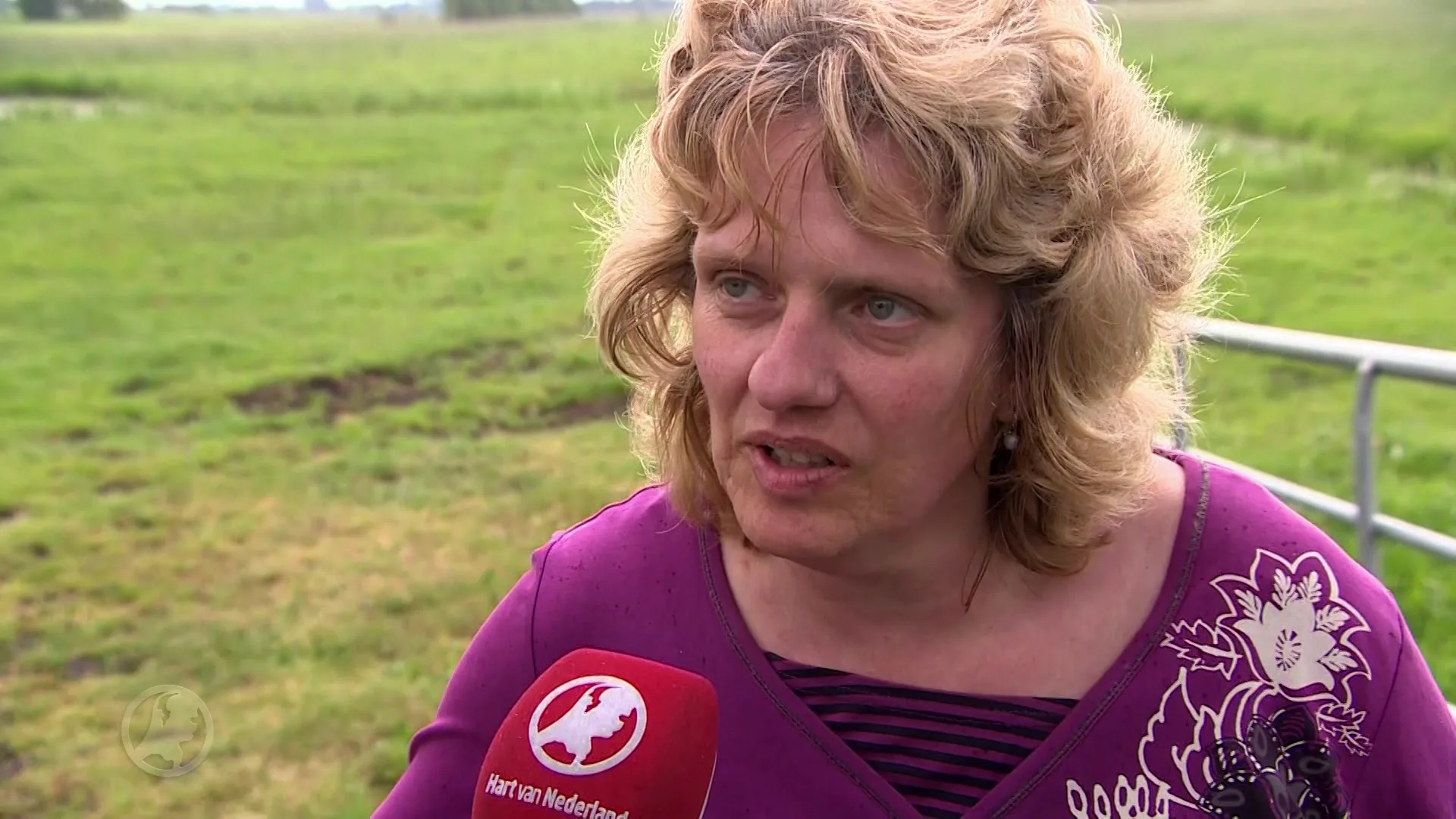 Twee doden bij crash sportvliegtuigje Bergambacht