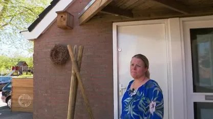 Leggen mezen massaal het loodje door gif tegen de buxusmot?