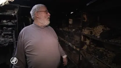 Honderden vogels verbrand bij brand in Deventerse volière