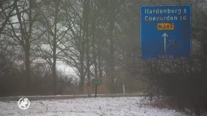 Petitietekenaars pleiten voor landelijk meldpunt dood gevonden huisdieren