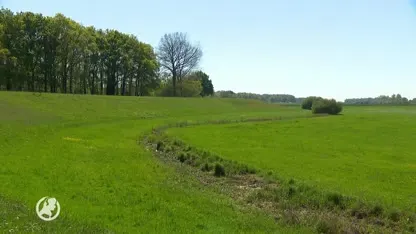 Droogte is een ramp voor vissen: 'Spartelende vissen die happen naar lucht'