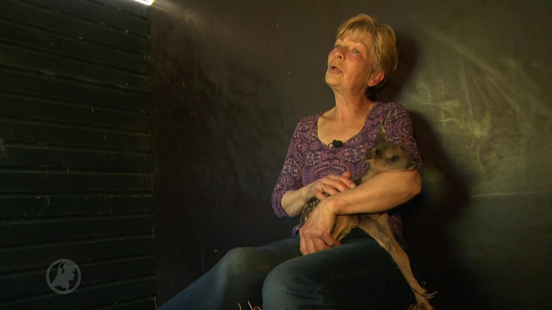 Reetje geboren nadat zwangere moeder wordt aangereden