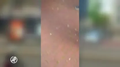 Eis van 35 uur leerstraf voor 15-jarige die homo's beledigde