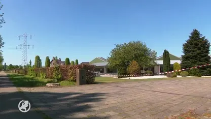 'Honden en katten lopen vooral risico op corona als baasje besmet is'