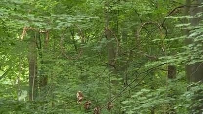 'Buiten de Pixels' wil kinderogen van het scherm naar buiten trekken