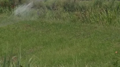 Schap besproeit dijken tegen scheuren