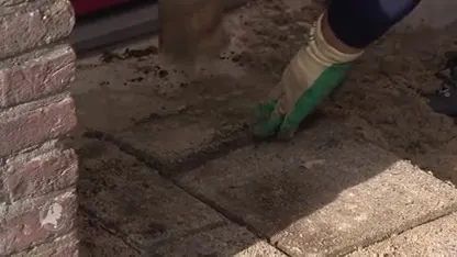 Stratenmaker Allie na 50 jaar in het zonnetje gezet