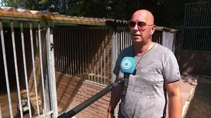 Dierenpensions in nood door coronacrisis: 'Binnenkort staan we op straat'