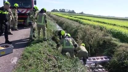 Vrouw gewond nadat ze met scootmobiel sloot inrijdt bij Kamperland - 2