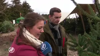 Topdrukte bij kerstboomkwekerij