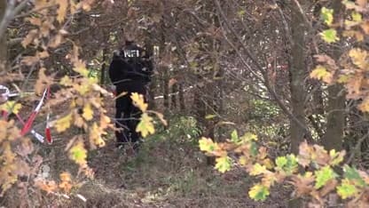 Botresten gevonden in bos Hummelo, politie start groot onderzoek