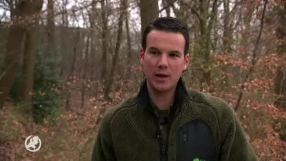 Forse stijging drugsdumpingen, aantal ontmantelde drugslabs blijft gelijk