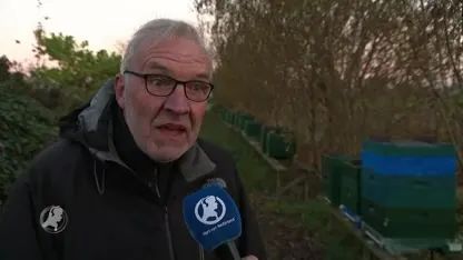 Imker Ben dolb(l)ij: gestolen bijen teruggevonden!